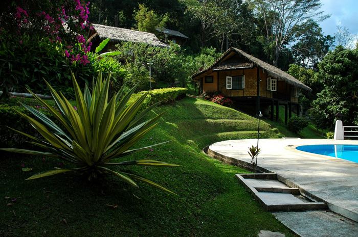 como decorar un jardin con grandes plantas